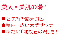 美人・美肌の湯！・2ケ所の露天風呂・県内一広い大型サウナ・ゆったり仮眠室