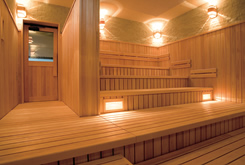 大型サウナ 大型サウナ